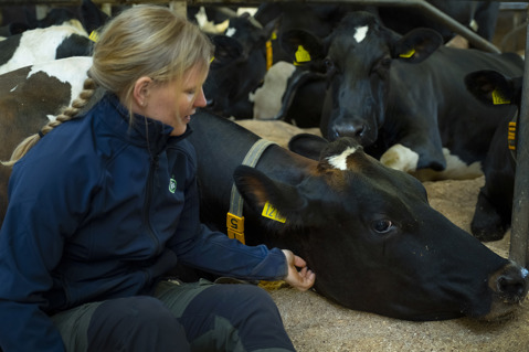 Vem äger Arla?