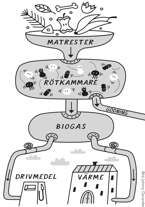 biogas-arla-forklarar-482x686.png