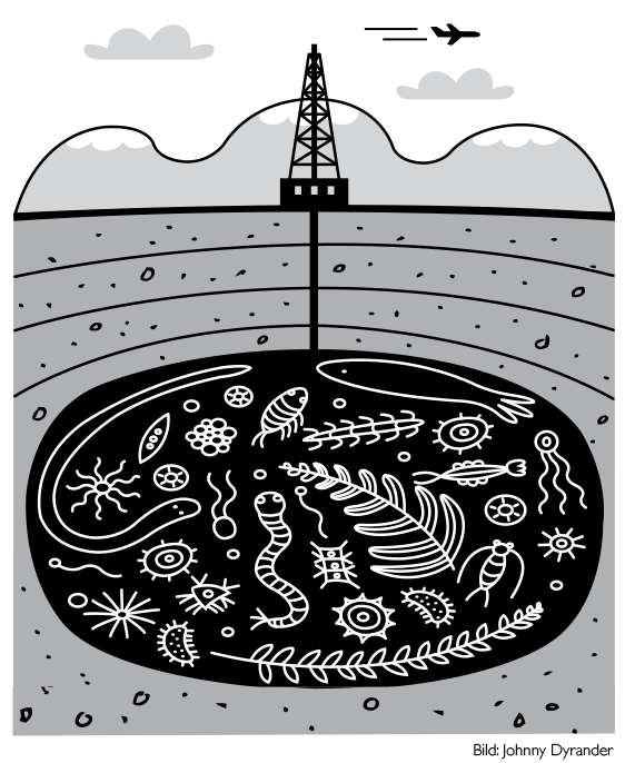 fossila-branslen-arla-forklarar-562x686.png